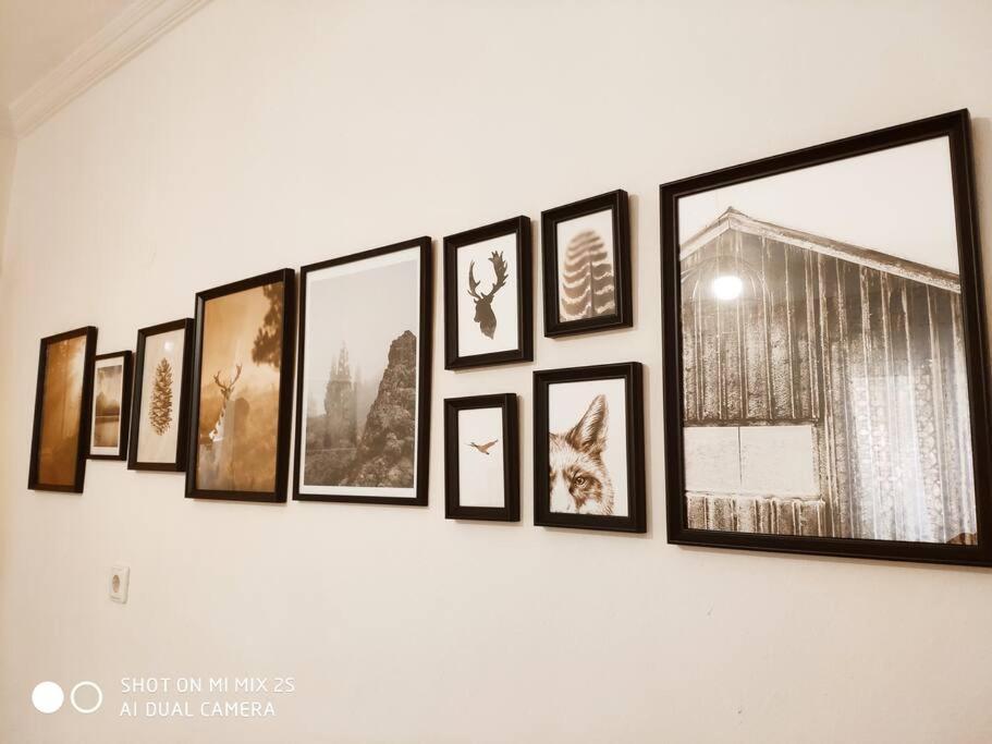 Evaggelia'S Apartments 1 Διαμονή Στο Κέντρο Kozani Dış mekan fotoğraf